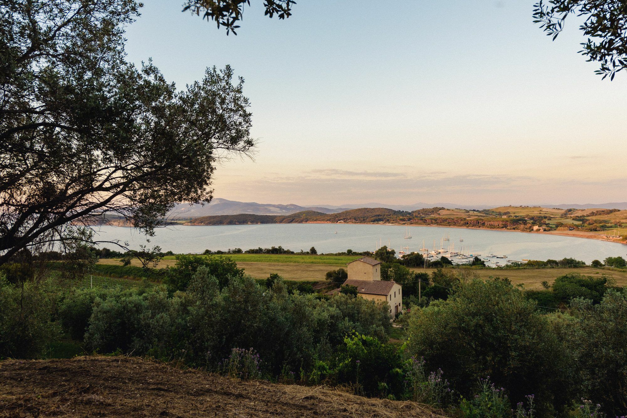 Torre Di Baratti Bio Resort Populonia Exterior foto