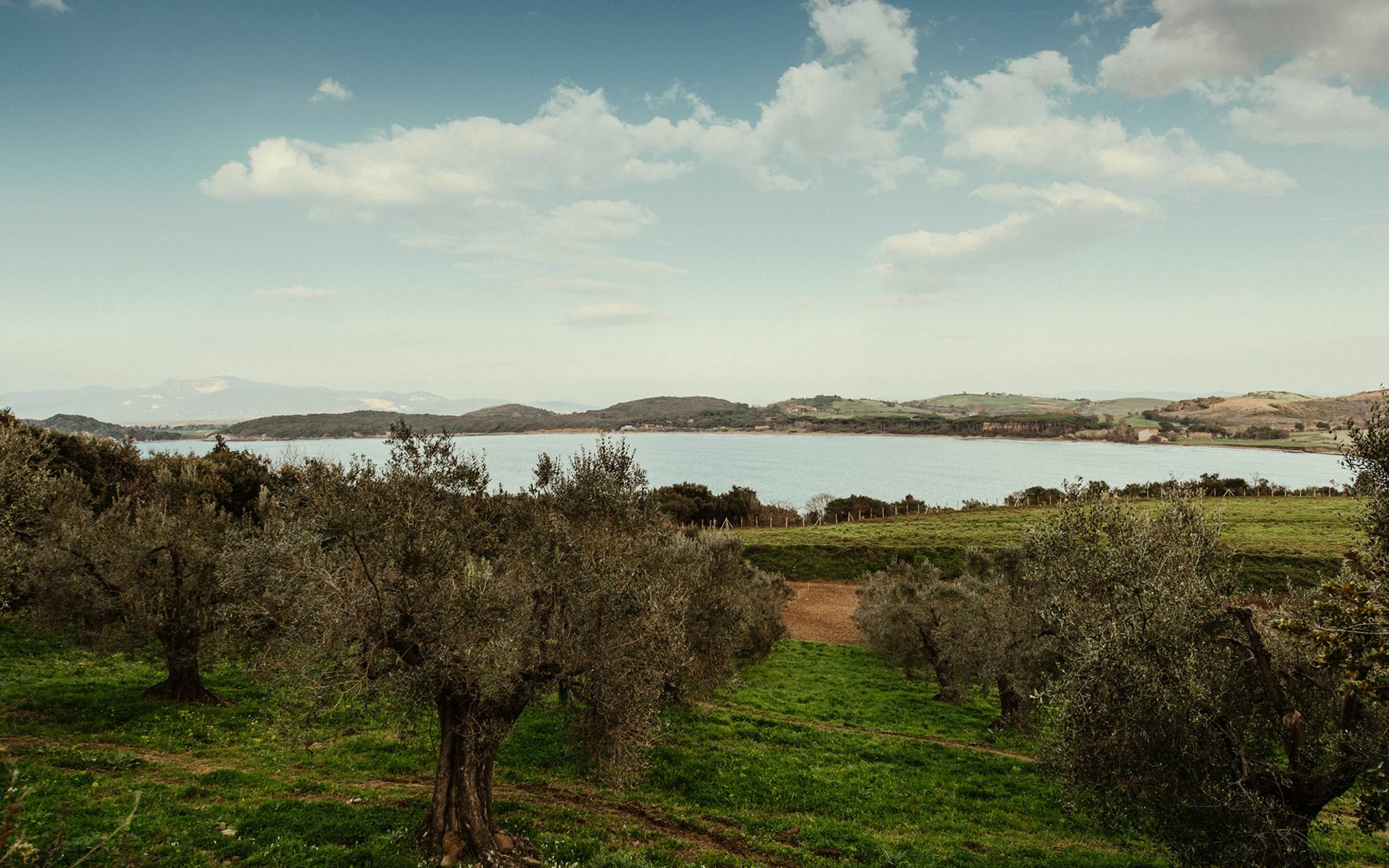 Torre Di Baratti Bio Resort Populonia Exterior foto